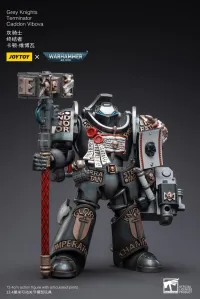 JOYTOY Grey Knights  Terminator  Caddon Vibova - Warhammer 40K - photo 1