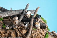 MEGA CAT PROJECT Attack on Titan Attack on Tinyan Gathering Scout Regiment danyan! (Repeat) (8pc per box) 7
