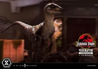 Prime 1 Studio Prime Collectible Figures  Jurassic Park (Film)  Velociraptor  Closed Mouth - Jurassic Park - photo 35