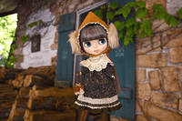 Blythe Hazel the Hedgehog 6