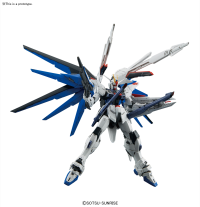 MG 1/100 FREEDOM GUNDAM Ver.2.0 2