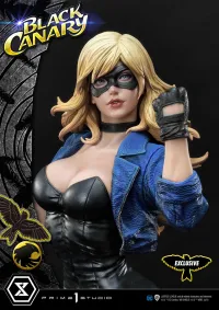 Prime 1 Studio Museum Masterline DC Comics Black Canary EX Bonus Version - DC Comics - photo 8
