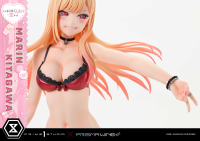 Premium Masterline TV animation My Dress-Up Darling Marin Kitagawa 4