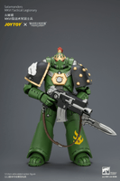Salamanders MKVI Tactical Legionary 7