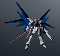 ZGMF-X10A FREEDOM GUNDAM RENEWAL 5