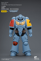 Space Wolves Intercessor with Bolt Rifle, Bolt Pistol and Chainsword 14