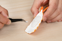 Sushi Plastic Model: Ver. Shrimp 3