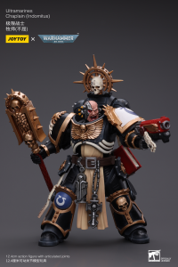 Ultramarines Chaplain(Indomitus) 1
