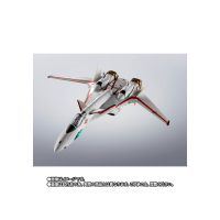 VF-19P EXCALIBUR (Zola Planetary Patrol) "MACROSS", TAMASHII NATIONS HI-METAL R 3