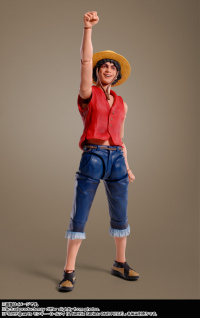 NAMI（A Netflix Series: ONE PIECE） "A Netflix Series: ONE PIECE", TAMASHII NATIONS S.H.Figuarts 2