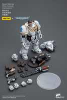 Space Marines White Consuls Intercessors 1 5