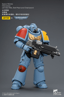 Space Wolves Intercessor with Bolt Rifle, Bolt Pistol and Chainsword 18