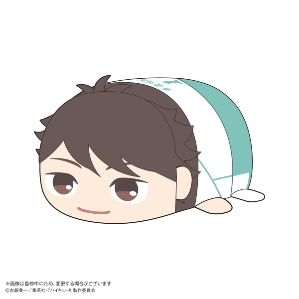 Haikyu!! POTE KORO MASCOT BIG (ITEM D)