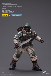Astra Militarum Cadian Command Squad Veteran with Regimental Standard 6