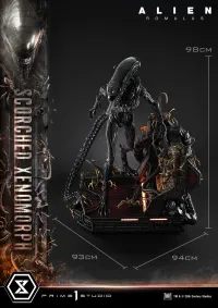 Prime 1 Studio Museum Masterline XL Alien: Romulus Scorched Xenomorph Deluxe Bonus Version - Alien (Movie Franchise) - photo 12
