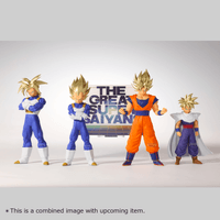 DRAGON BALL Z BLOOD OF SAIYANS-SUPER SAIYAN SON GOKU-Ⅱ 6