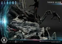 Prime 1 Studio Premium Masterline Aliens (Comics) Tusked Alien Bonus Version - Alien (Movie Franchise) - photo 29