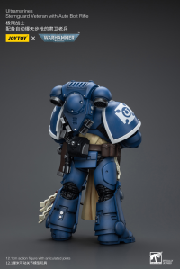 Ultramarines Sternguard Veteran with Auto Bolt Rifle 9