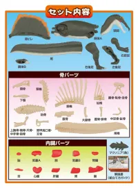 MegaHouse Spinosaurus Puzzle , Megahouse Kaitai Puzzle - Kaitai Puzzle - photo 14