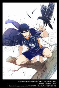 KOTOBUKIYA ARTFX J Tobio Kageyama - Haikyu!! - photo 12