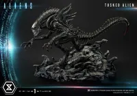 Prime 1 Studio Premium Masterline Aliens (Comics) Tusked Alien Bonus Version - Alien (Movie Franchise) - photo 36