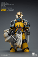 Imperial Fists Librarian Consul with Force Axe and Bolt Pistol 1