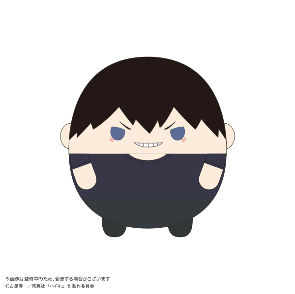 Haikyu!! FUWA KORORIN BIG 10 (Item A)