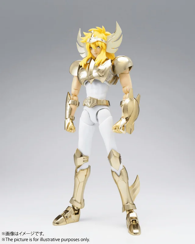 SAINT CLOTH MYTH CYGNUS HYOGA [NEW BRONZE CLOTH] -GOLDEN LIMITED EDITION- [TNS Exclusive]