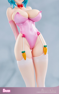 Bunny Girls: Limited Color Ver. 11