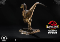 Prime Collectible Figures  Jurassic Park (Film)  Velociraptor  Closed Mouth 22