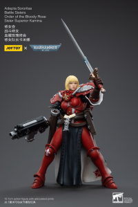 Adepta Sororitas Battle Sisters Order of the Bloody Rose Sister Superior Kamina 6