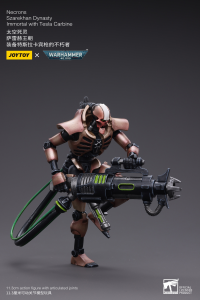Necrons Szarekhan Dynasty lmmortal with Tesla Carbine [2PCS] 5