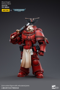 Blood Angels Veteran Vigna 6