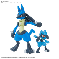 POKEMON MODEL KIT CHARIZARD & DRAGONITE 2