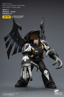 Raven Guard Dark Fury, Chooser of the Slain with Raven's Talon claws 19