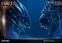 Prime 1 Studio Premium Masterline Aliens (Comics) Rogue Alien Battle Diorama - Alien (Movie Franchise) - photo 29