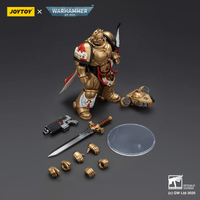 Blood Angels Captain with Heavy Bolt Pistol & Power Sword 11