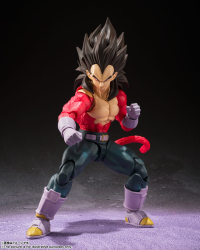 Super Saiyan 4 Vegeta 2