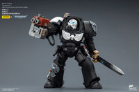 Raven Guard Terminator 1 with Power Sword and Storm Bolter 2