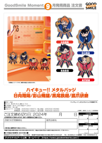 Haikyu!! Metal Badge Shoyo Hinata 2