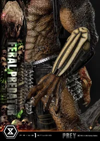 Prime 1 Studio Museum Masterline Prey Feral Predator - Live Action Movies/TV - photo 9