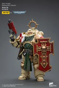 JOYTOY Dark Angels Bladeguard Veteran - Warhammer 40K - photo 6