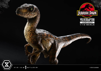 Prime Collectible Figures  Jurassic Park (Film)  Velociraptor  Closed Mouth 13