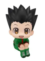 Lookup HUNTER×HUNTER Gon Freecss
