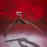 TAMASHII NATIONS Rodan (2021) -The second form- Godzilla S.P<Singular Point>, Bandai Spirits S.H.MonsterArts - Godzilla - photo 3