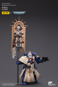 Ultramarines Bladeguard Ancient 7