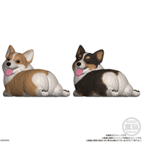 Mocchiri Kororin Dogs (Box/12), Bandai Shokugan Mocchiri Kororin 5