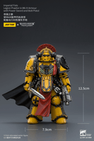 Imperial Fists Legion Praetor in Mk III Armour with Power Sword and Bolt Pistol 15