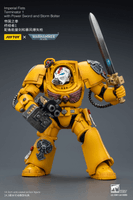 Imperial Fists Terminator 1 with Power Sword and Storm Bolter 18