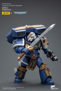 Ultramarines Vanguard Veteran Sergeant 6